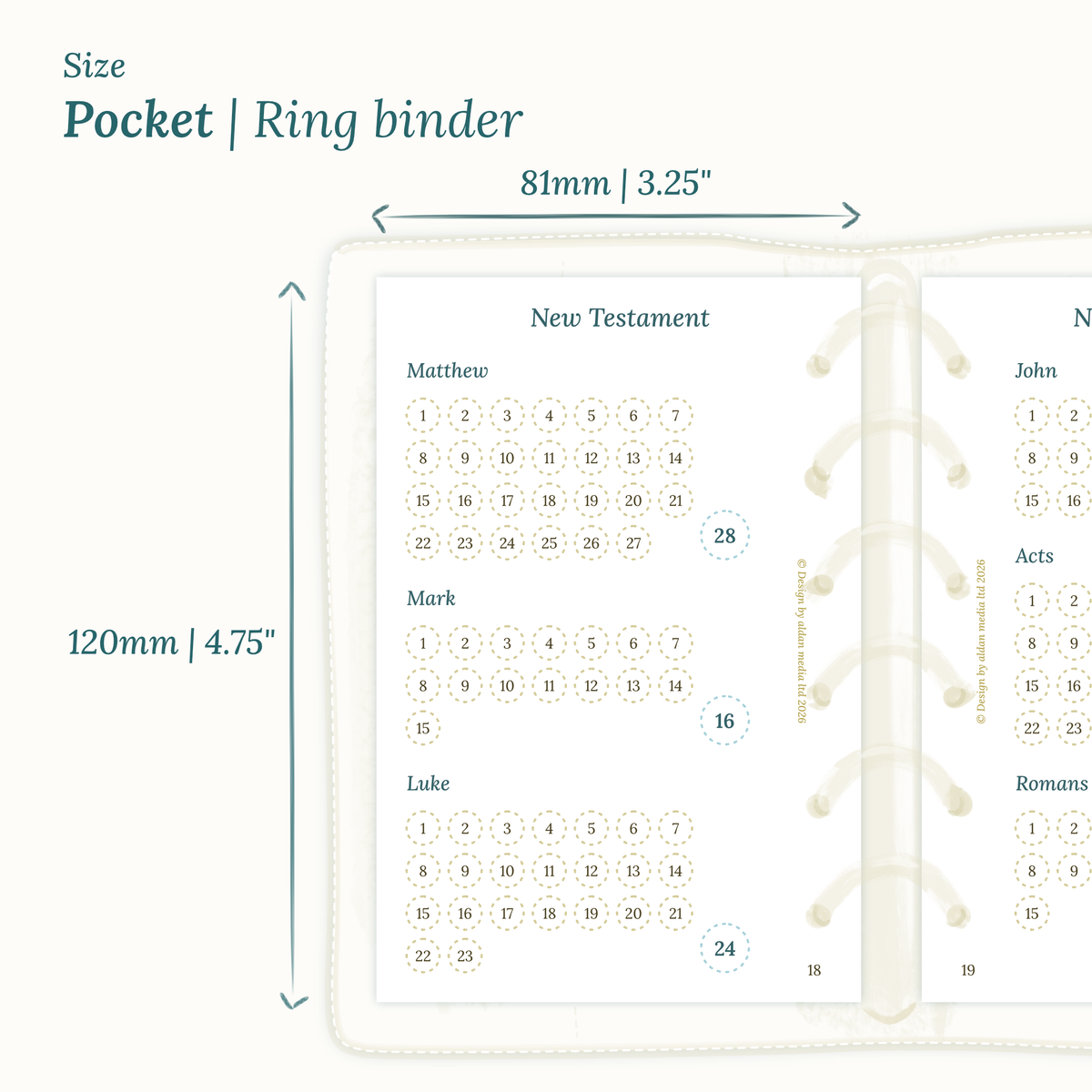 Dimensions labeled on a white background showing Pocket Ring Binder Calendar PDF printable planner size