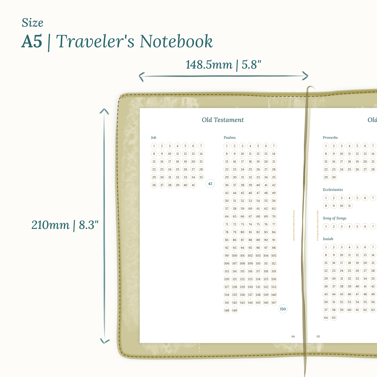 Dimensions labeled on a white background showing TN A5 Traveler's Notebook Calendar PDF printable planner size