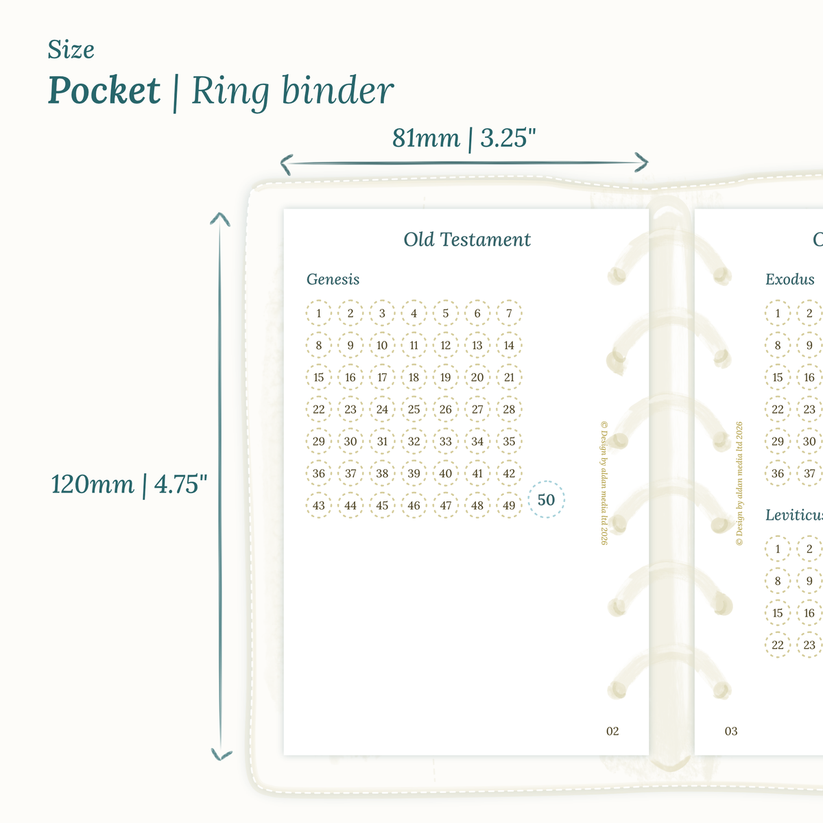 Dimensions labeled on a white background showing the Calendar PDF printable planner sizes Pocket