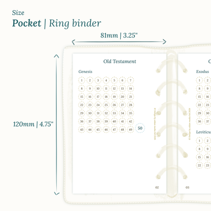 Dimensions labeled on a white background showing the Calendar PDF printable planner sizes Pocket