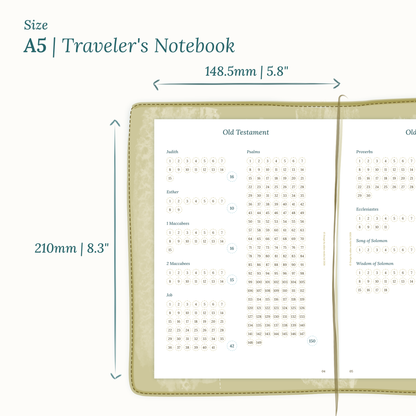 Dimensions labeled on a white background showing the Calendar PDF printable planner sizes TN A5