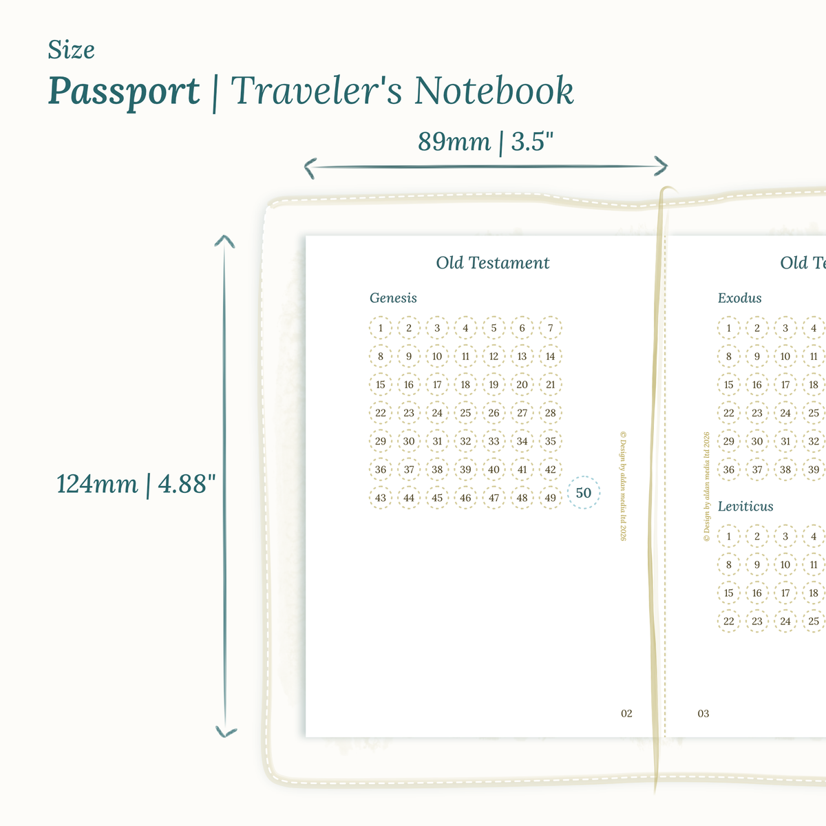Dimensions labeled on a white background showing the Calendar PDF printable planner sizes TN Passport