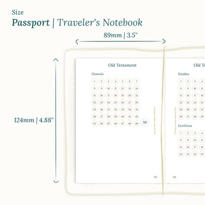 Dimensions labeled on a white background showing the Calendar PDF printable planner sizes TN Passport