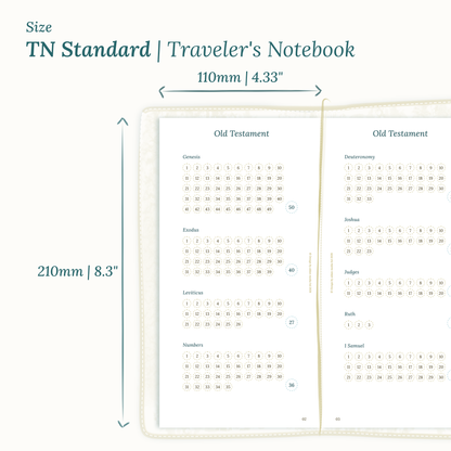 Dimensions labeled on a white background showing the Calendar PDF printable planner sizes TN Standard