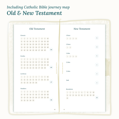 Module Catholic Bible journey map for TN Standard featuring the Old & New Testament