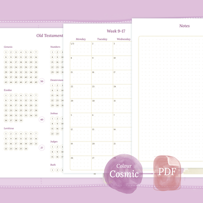 Examples featuring the printable Bible study kit inserts modules Bible journey map, 9W2P 9 weeks on 2 pages and Notes in the colour Cosmic/Raspberry.