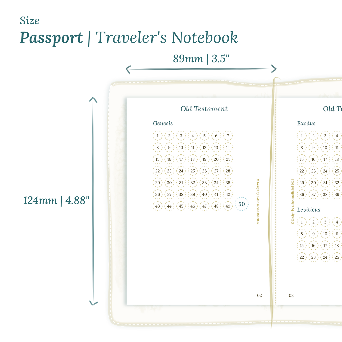 Printable PDF calendar planner insert with dimensions labeled on a white background to show the size supported which is Passport size for Traveler's Notebook.