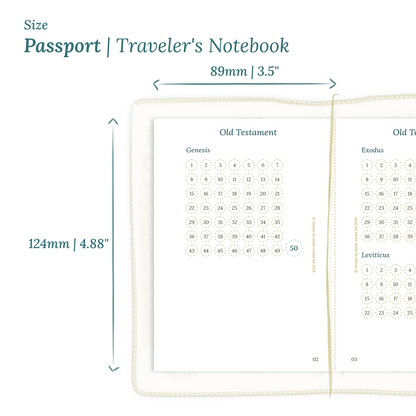 Printable PDF calendar planner insert with dimensions labeled on a white background to show the size supported which is Passport size for Traveler's Notebook.