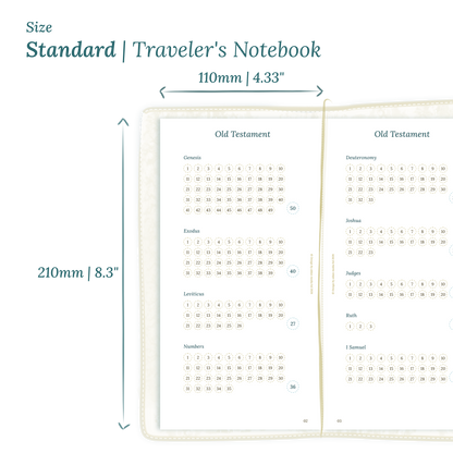 Printable PDF calendar planner insert with dimensions labeled on a white background to show the size supported which is Standard size for Traveler's Notebook.