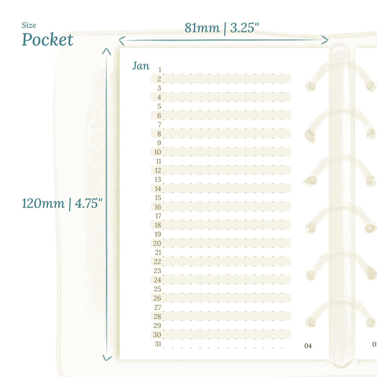 Pocket | Bundle XL | Year at a glance, future log, month on 2 pages, week on 2 pages & daily